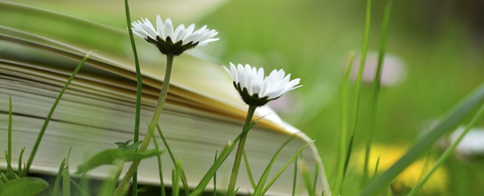 textjoker biografien